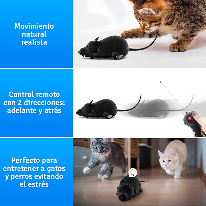 Juguete Raton Control Remoto - W.S